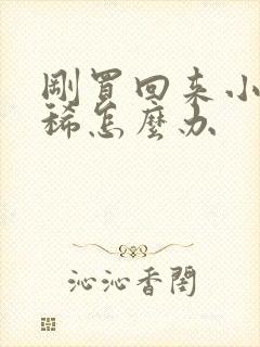 刚买回来小狗拉稀怎么办