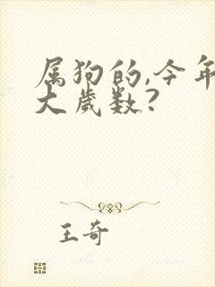 属狗的,今年多大岁数?