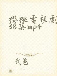 樱桃电视剧全集38集mp4封面