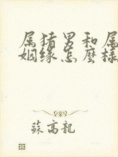 属猪男和属虎女姻缘怎么样