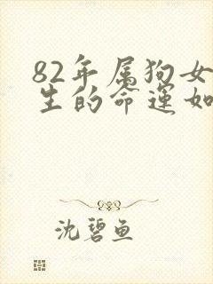 82年属狗女一生的命运如何封面