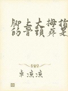 脚上大拇指下面的骨头疼是什么原因