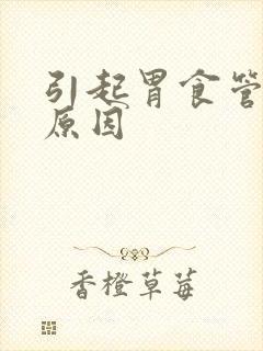 引起胃食管反流原因