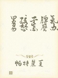 男孩子脾气暴躁易怒怎么办封面