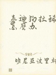 泰迪狗拉稀带血怎么办封面