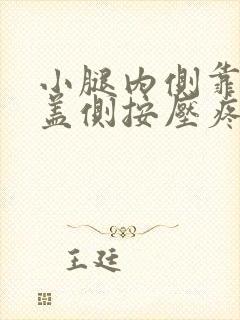 小腿内侧靠近膝盖侧按压疼痛