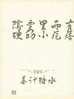 阴囊里面有个硬硬的小疙瘩