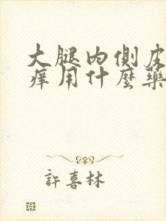 大腿内侧皮肤瘙痒用什么药止痒效果最好封面