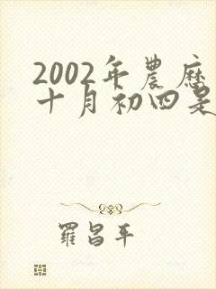 2002年农历十月初四是什么命