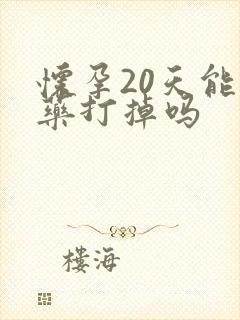 怀孕20天能吃药打掉吗封面