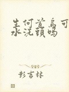 生何首乌可以煮水洗头吗