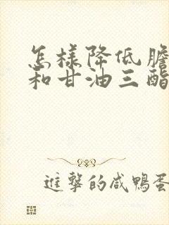 怎样降低胆固醇和甘油三酯高怎么办