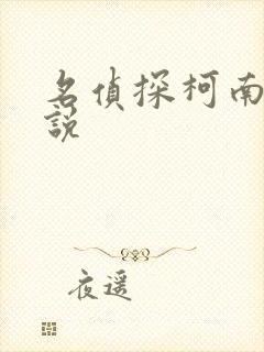 名侦探柯南h小说封面