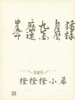 农历九月猪女的命运怎么样封面