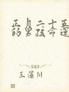 正月二十五出生的男孩命运如何