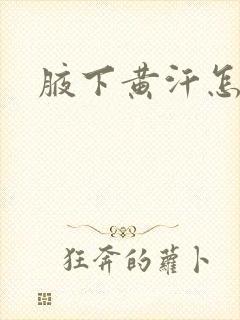 腋下黄汗怎么办封面