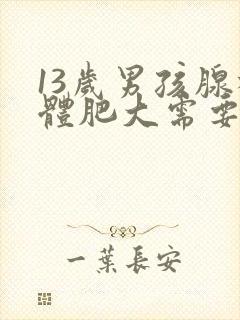 13岁男孩腺样体肥大需要手术吗