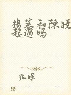 杨蓉和陈晓在一起过吗