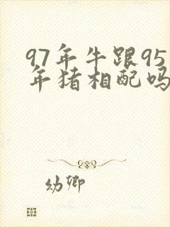 97年牛跟95年猪相配吗