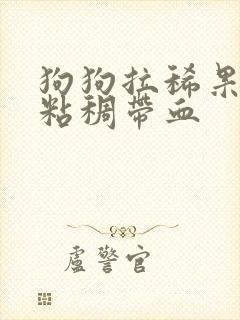 狗狗拉稀果冻状粘稠带血