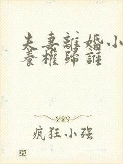 夫妻离婚小孩抚养权归谁