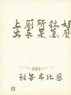 上厕所拉好多血出来是怎么回事