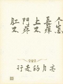 肛门上长个肉球又疼又痒怎样治疗