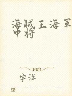 海贼王海军本部中将