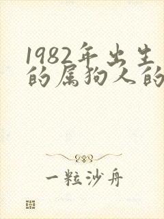 1982年出生的属狗人的命运封面