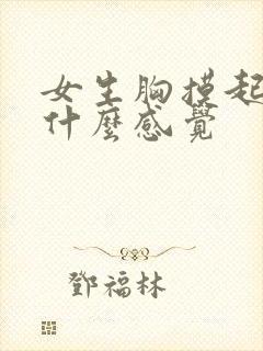 女生胸摸起来是什么感觉