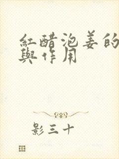 红醋泡姜的功效与作用封面