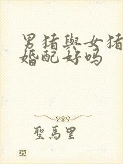 男猪与女猪属相婚配好吗