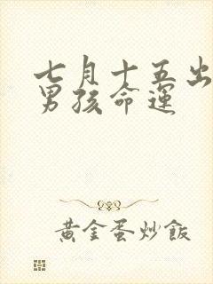 七月十五出生的男孩命运