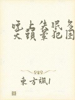 晚上失眠多梦白天头晕犯困封面