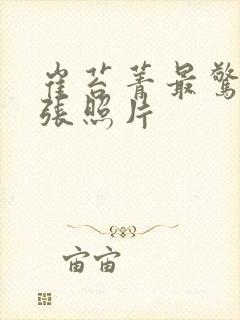 崔苔菁最惊艳三张照片