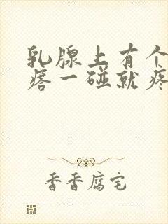 乳腺上有个硬疙瘩一碰就疼