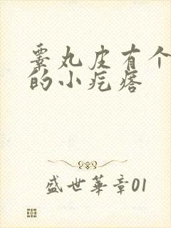 睾丸皮有个硬硬的小疙瘩