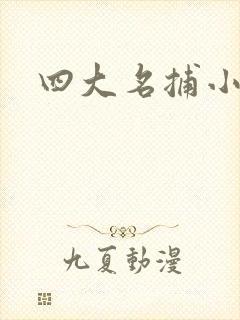 四大名捕小说