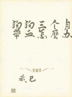 狗狗三个月拉稀带血怎么办