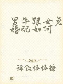 男牛跟女兔属相婚配如何