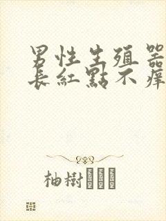 男性生殖器龟头长红点不痒也不疼