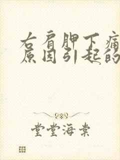 右肩胛下痛什么原因引起的