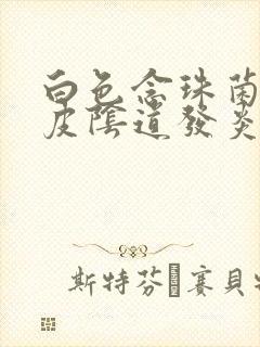 白色念珠菌性表皮阴道发炎