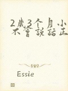 2岁3个月小孩不会说话正常吗