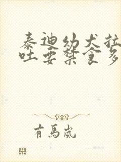 泰迪幼犬拉稀呕吐要禁食多久