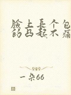 脸上长个包硬硬的凸起不痛不痒