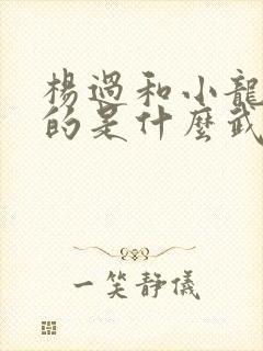 杨过和小龙女练的是什么武功?