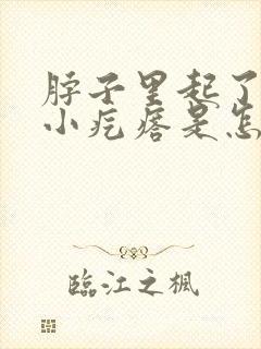 脖子里起了很多小疙瘩是怎么回事