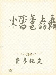 小阴唇上长了一个白色的颗粒