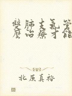 双肺支气管炎怎么治疗才能除根呀封面